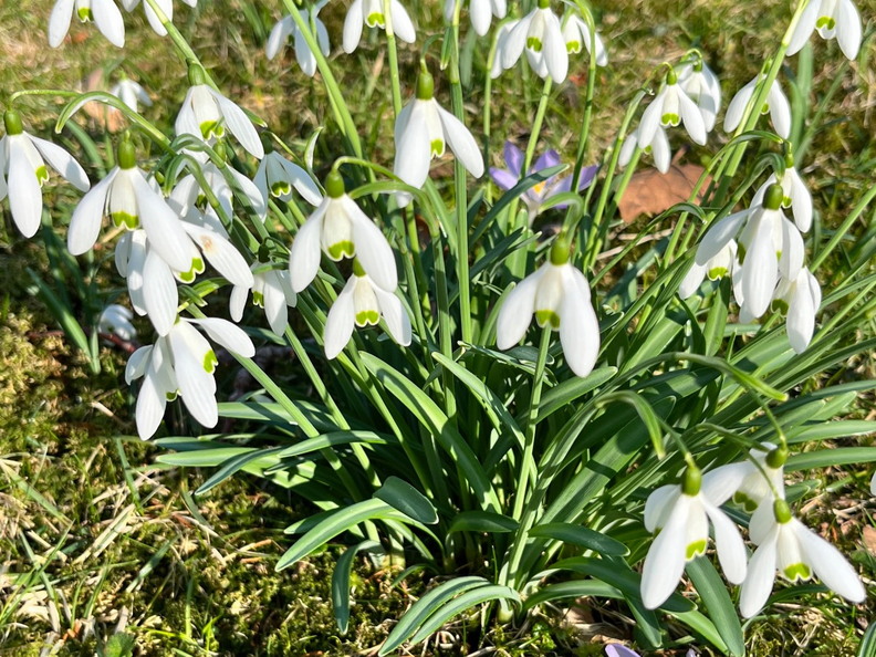 23-02-13 12-53-41 4190